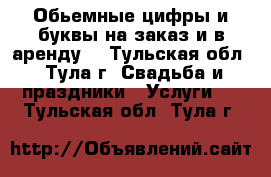 Обьемные цифры и буквы на заказ и в аренду! - Тульская обл., Тула г. Свадьба и праздники » Услуги   . Тульская обл.,Тула г.